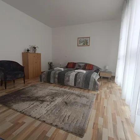 Apartment Grand 3 Frontieres Hesingue